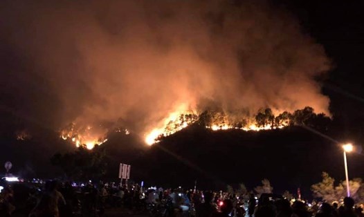Hiện trường vụ cháy rừng thông phòng hộ từ đêm ngày 28.6. Ảnh: N.N
