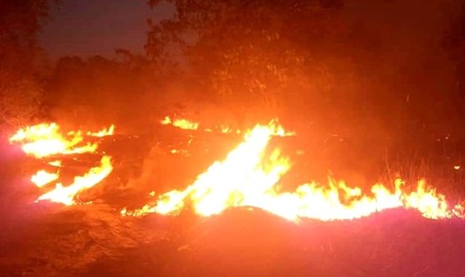 Cháy rừng dữ dội ở Quảng Bình. Ảnh P.L