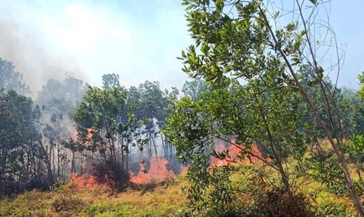 Một đám cháy rừng tại huyện Nam Đàn (Nghệ An). Ảnh: P.T