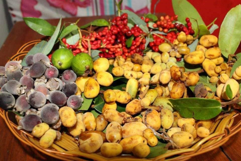 Tuổi thơ của học trò nghèo xứ Quảng ai chẳng có một lần trưa trốn nhà vào rừng hái dủ dẻ, sim, chà là...