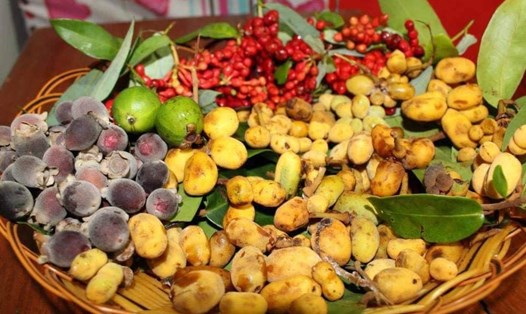 Tuổi thơ của học trò nghèo xứ Quảng ai chẳng có một lần trưa trốn nhà vào rừng hái dủ dẻ, sim, chà là...