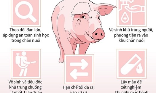 Các biện pháp phòng, chống dịch tả lợn Châu Phi. Nguồn: Cục Thú y
