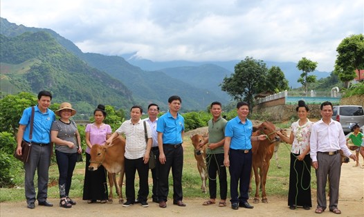 Đại diện LĐLĐ tỉnh Sơn La, LĐLĐ huyện, Huyện ủy Mường La, UBND xã Hua Trai giao bò giống cho các hộ gia đình.