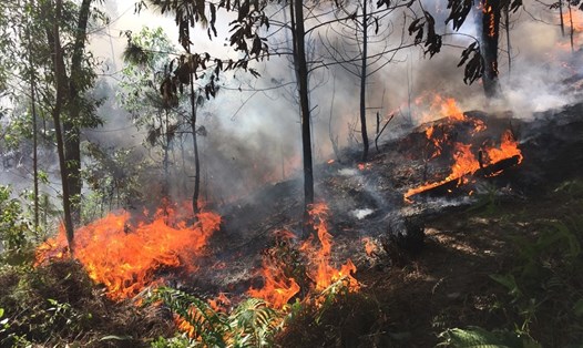 Huyện Hương Sơn (Hà Tĩnh) liên tiếp xảy ra các vụ cháy rừng. Ảnh: A.Đ