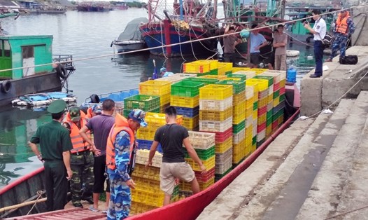 Lực lượng chức năng bắt giữ vụ vận chuyển trái phép 35.000 con vịt giống từ Trung Quốc về Việt Nam tiêu thụ. Ảnh: Hữu Việt