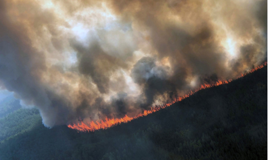 Hàng trăm vụ cháy rừng xảy ra ở Bắc Cực. Ảnh: Reuters.
