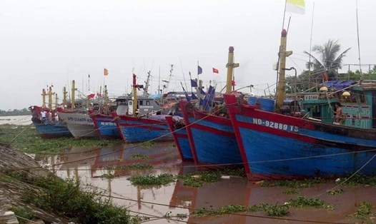 Tàu đã về neo đậu tại vùng biển Giao Thủy, Nam Định - ảnh HL