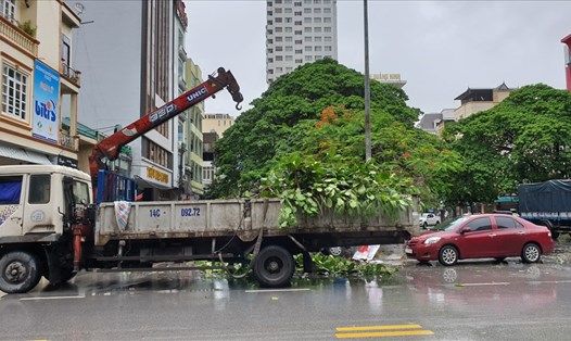Cơn bão số 2 ảnh hưởng không lớn với Quảng Ninh, nhưng có thể gây mưa to, sạt lở đất đá bãi thải và ngập lụt khu dân cư. Ảnh: T.N.D