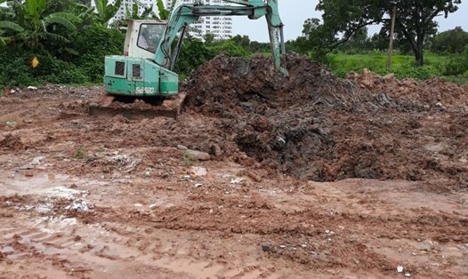 Tiến hành tiêu hủy 122 con lợn bệnh dịch tả lợn châu Phi tại quận Bình Tân, TPHCM:, ảnh: Chi cục Chăn nuôi và Thú y TPHCM cung cấp.