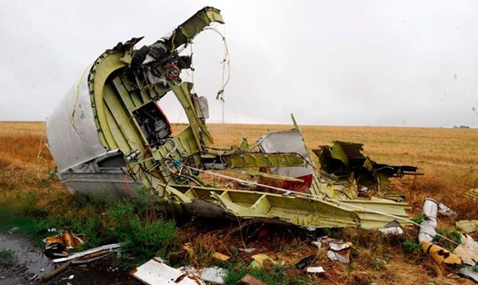 Ukraina bắt một nghi can bị truy nã vụ bắn rơi MH17. Ảnh: AFP/Getty Images