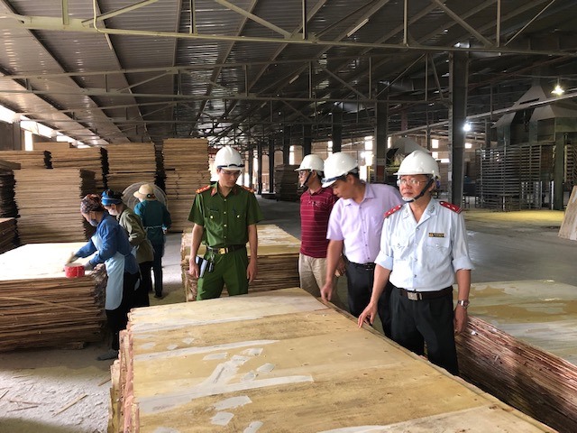 Đoàn thanh tra kiểm tra công tác an toàn vệ sinh lao động tại Công ty Cổ phần Lâm nghiệp Bảo Yên.