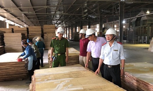 Đoàn thanh tra kiểm tra công tác an toàn vệ sinh lao động tại Công ty Cổ phần Lâm nghiệp Bảo Yên.