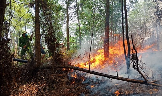 Cháy rừng tại huyện Hương Sơn (Hà Tĩnh). Ảnh: CTV