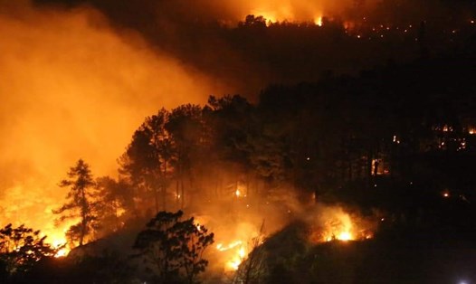 Ngọn lửa hung hãn bao trùm lên rừng thông trong đêm 8.7.2019. Ảnh: CTV