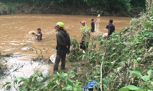 Người dân bắt cá trong mùa mưa bão ở Đắk Lắk. Ảnh: LX
