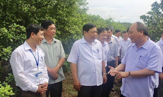 Thủ tướng Nguyễn Xuân Phúc và lãnh đạo tỉnh Nghệ An thăm trang trại trồng chanh ở xã Nam Giang huyện Nam Đàn. Ảnh: PV