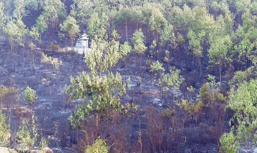 Cháy rừng ở xã Duy Sơn, huyện Duy Xuyên