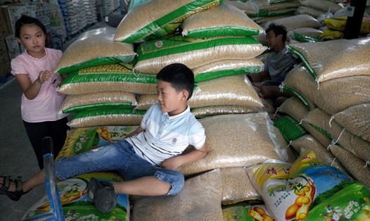 Trung Quốc coi Nga là nguồn cung đậu nành thay thế trong cuộc chiến thương mại với Mỹ. Ảnh: EPA