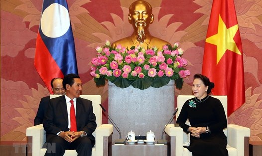Chủ tịch Quốc hội Nguyễn Thị Kim Ngân tiếp Phó Chủ tịch Quốc hội Lào Bounpone Bouttanavong. Ảnh: TTXVN.