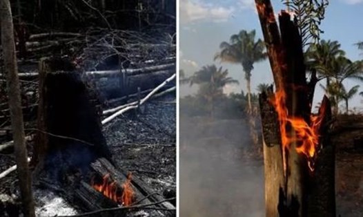Rừng Amazon đang xảy ra hàng nghìn vụ cháy. Ảnh: Express.
