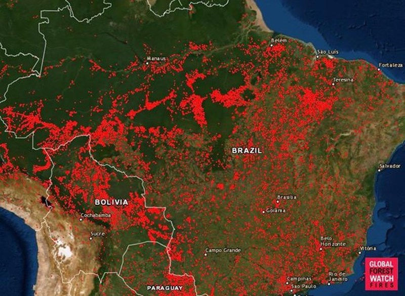 Cháy rừng Amazon tàn phá trái đất như vũ khí huỷ diệt hàng loạt