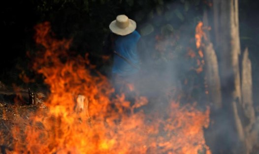 Một góc rừng Amazon bị cháy ở Iranduba, Brazil, ngày 20.8.2019. Ảnh: Reuters