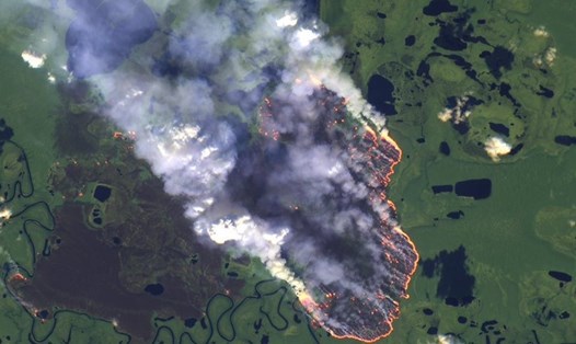 Rừng Amazon đang cháy nghiêm trọng. Ảnh: Twitter