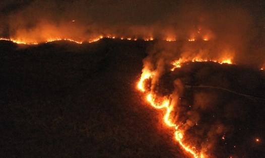 Lửa cháy rừng rực ở rừng Amazon. Ảnh: Getty Images