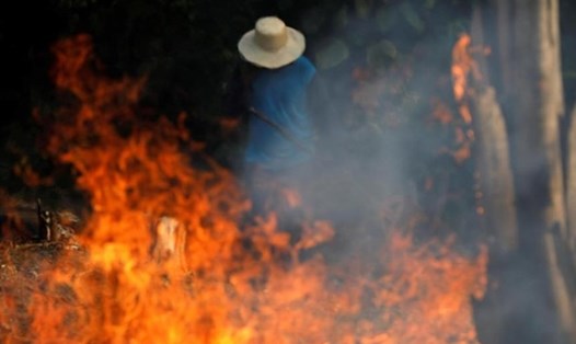 Một góc rừng Amazon bị cháy ở Iranduba, Brazil, ngày 20.8.2019. Ảnh: Reuters