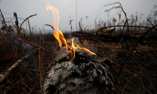 Rừng Amazon cháy suốt 3 tuần qua. Ảnh: Reuters