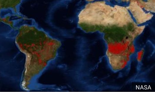 Ảnh vệ tinh NASA công bố về cháy rừng trên thế giới. Ảnh: NASA.