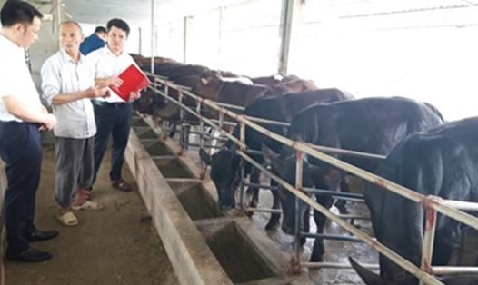 Ông Nguyễn Văn Toàn và cán bộ Agribank tại trang trại chăn nuôi của ông