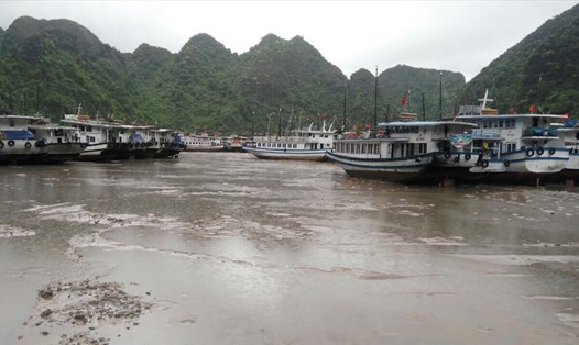 Nước rút trơ đáy, hàng trăm tàu đi tránh trú bão chưa thể trở về cảng Tuần Châu dù sáng nay đã được phép hoạt động trở lại. Ảnh: Nguyễn Hùng