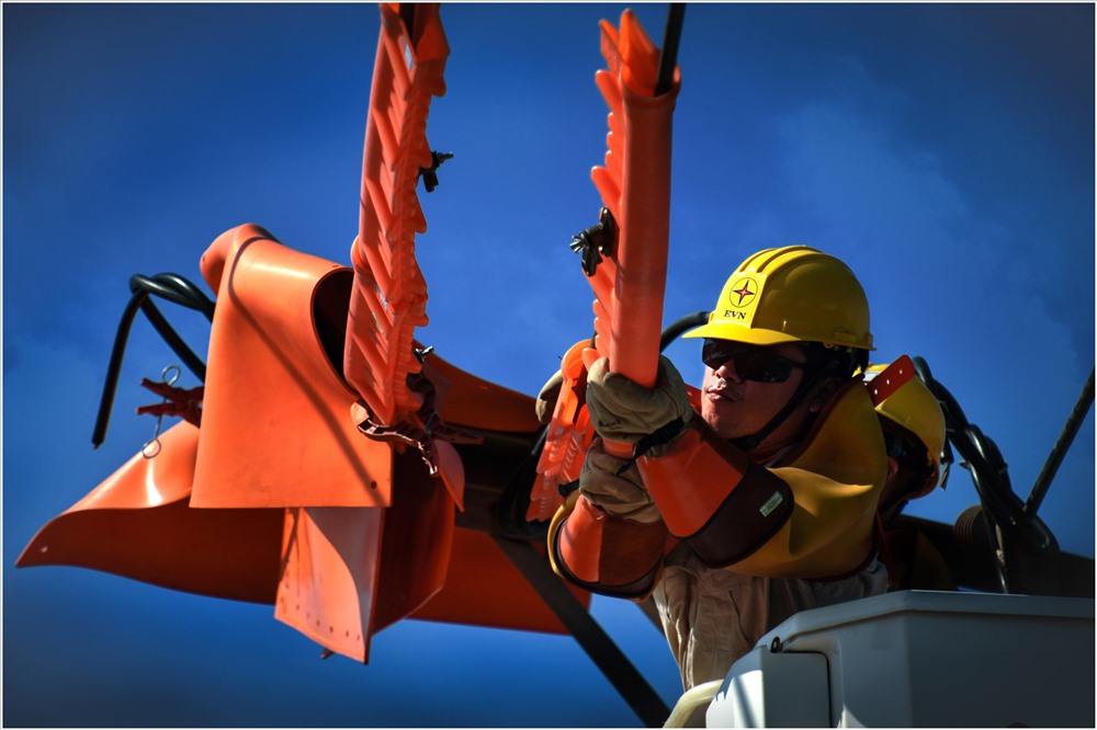 Tác phẩm “Chân dung người thợ điện” (Tác giả: Đặng Hồng Long) đạt giải Nhất