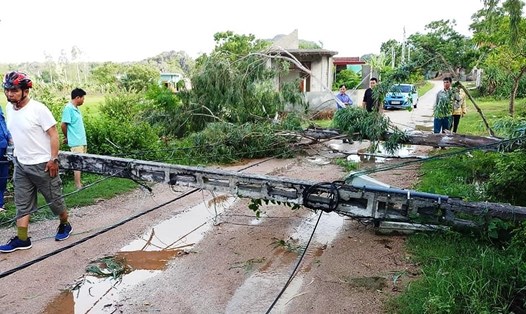 Cột điện, cây cối bên đường ở xã Quỳnh Lộc (TX. Hoàng Mai - Nghệ An) bị đổ ngã do bão số 4. Ảnh: Việt Hùng