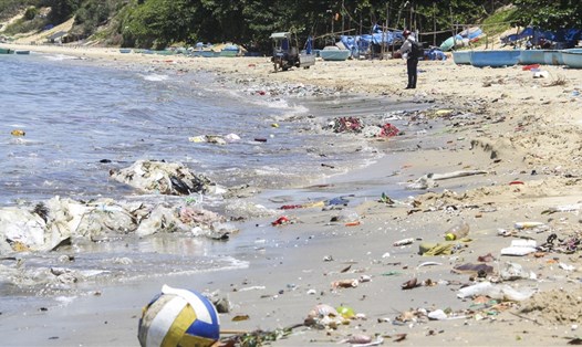 Bãi biển Tân Phụng - Mũi Rồng (xã Mỹ Thọ, huyện Phù Mỹ, tỉnh Bình Định) 
chìm ngập trong rác thải, ô nhiễm trầm trọng.
