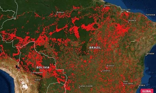 Bản đồ cho thấy vị trí của tất cả các vụ cháy rừng tại Brazil từ ngày 13.8. Ảnh: Global Forest Watch.