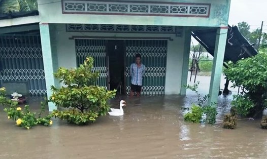 Gần 800 ngôi nhà tại Cà Mau bị ngập trong nước do ảnh hưởng bão, nước tràn qua đê (ảnh CTV)