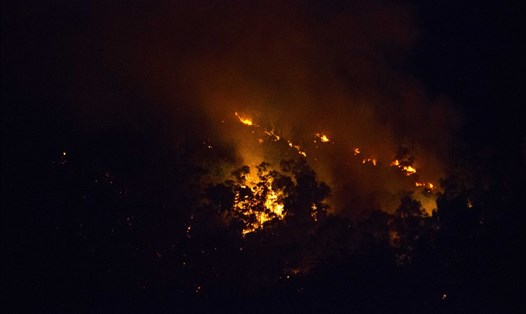 Vụ cháy rừng trên địa bàn TP. Quy Nhơn. Ảnh: N.T