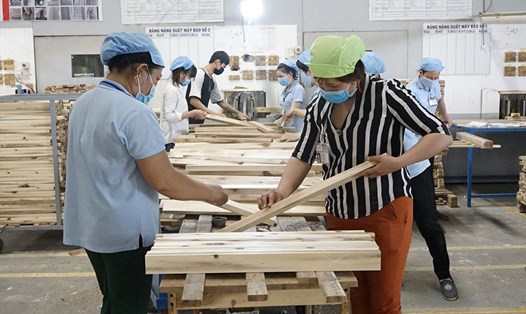 Tư duy lại mô hình sản xuất chế biến gỗ đồng nghĩa ứng dụng công nghệ nhằm tiết giảm nhân công (ảnh: Khoa Tư).