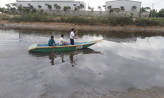 Cán bộ xã Thạch Đài dùng thuyền đi tìm kiếm, truy bắt cá sấu trên sông Cầu Đông. Ảnh: Trần Tuấn