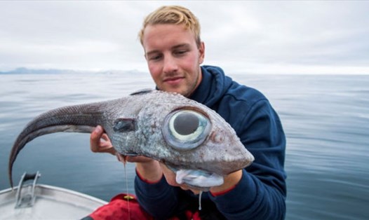 Con cá giống khủng long được ngư dân Na Uy bắt được. Ảnh: Fox News.