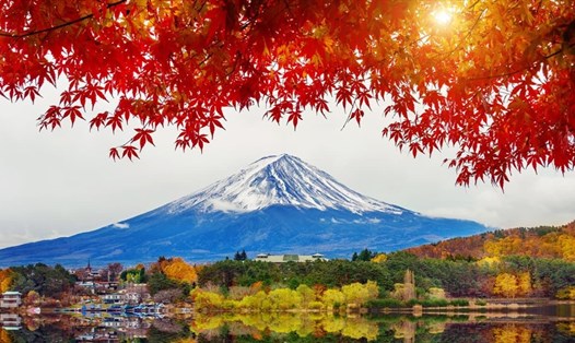 Đất nước Nhật Bản mùa lá đỏ.