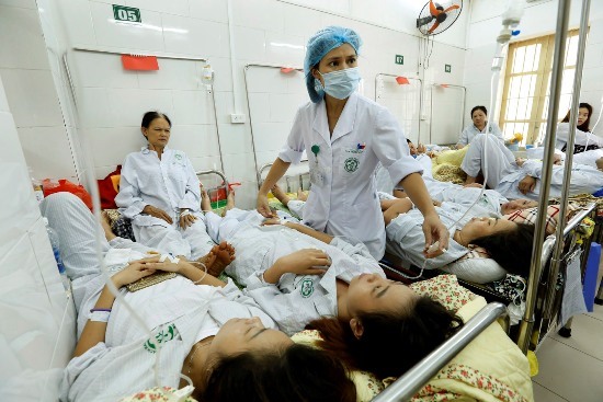 Bệnh sốt xuất huyết chưa có thuốc điều trị đặc hiệu và chưa có vắc xin phòng bệnh.