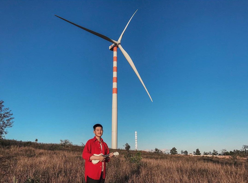 Cánh đồng quạt gió ở huyện Ea H'leo đẹp ngỡ ngàng.