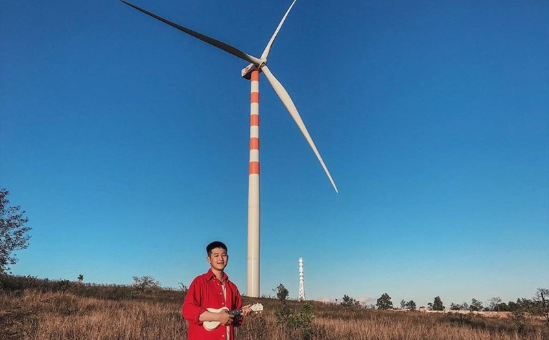 Cánh đồng quạt gió ở huyện Ea H'leo đẹp ngỡ ngàng.