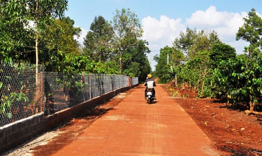 Đường giao thông nông thôn thuộc dự án giảm nghèo ở Gia Lai bị "ăn gian" khối lượng. Ảnh Trần Dung