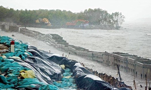 Một đoạn đê biển Cà Mau bị sạt lở nghiêm trọng (ảnh Nhật Hồ)