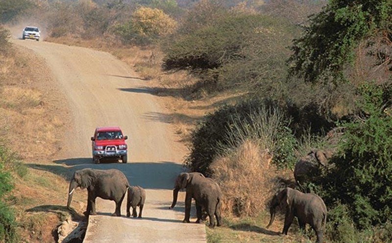 Cảnh kỳ thú thường gặp trong các công viên quốc gia ở Nam Phi.