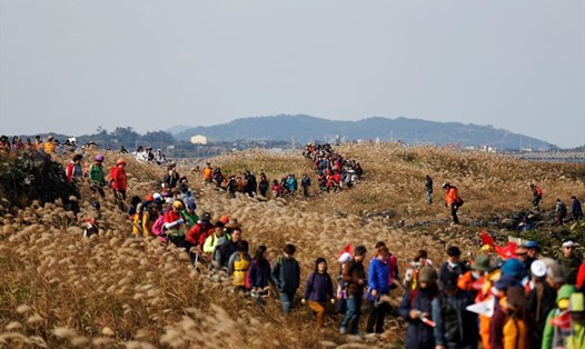 Lễ hội đi bộ Olle Jeju